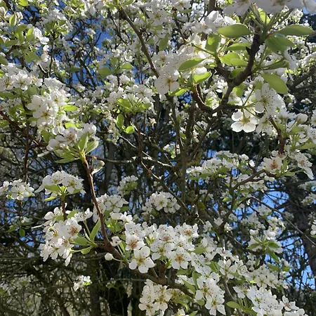 Apartman Dimore Granaio Nr5 Wine & Countryside Experience, Welcome Box, Free Parking & Pool