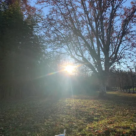 Διαμέρισμα Dimore Granaio Nr5 Wine & Countryside Experience, Welcome Box, Free Parking & Pool *