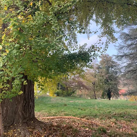 Dimore Granaio Nr5 Wine & Countryside Experience, Welcome Box, Free Parking & Pool * Asti