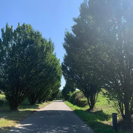 Apartment Dimore-granaio Nr 5-garden-welcome Box -free Parking And Pool