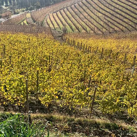 Dimore Granaio Nr5 Wine & Countryside Experience, Welcome Box, Free Parking & Pool Διαμέρισμα