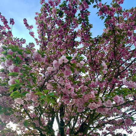 Dimore-granaio Nr 5-garden-welcome Box -free Parking And Pool 公寓