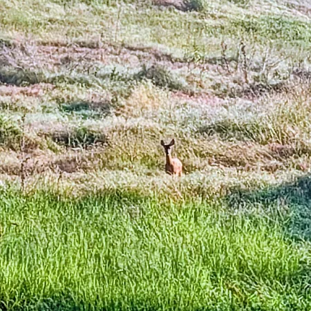 Dimore Granaio Nr5 Wine & Countryside Experience, Welcome Box, Free Parking & Pool * アスティ