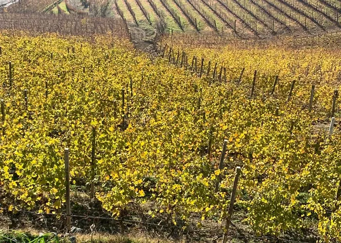 Dimore Granaio Nr5 Wine & Countryside Experience, Welcome Box, Free Parking & Pool Apartman