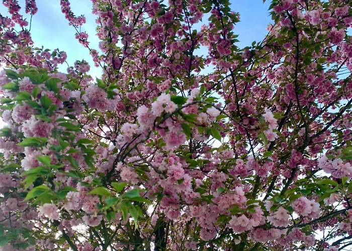 Dimore Granaio Nr5 Wine & Countryside Experience, Welcome Box, Free Parking & Pool Apartamento