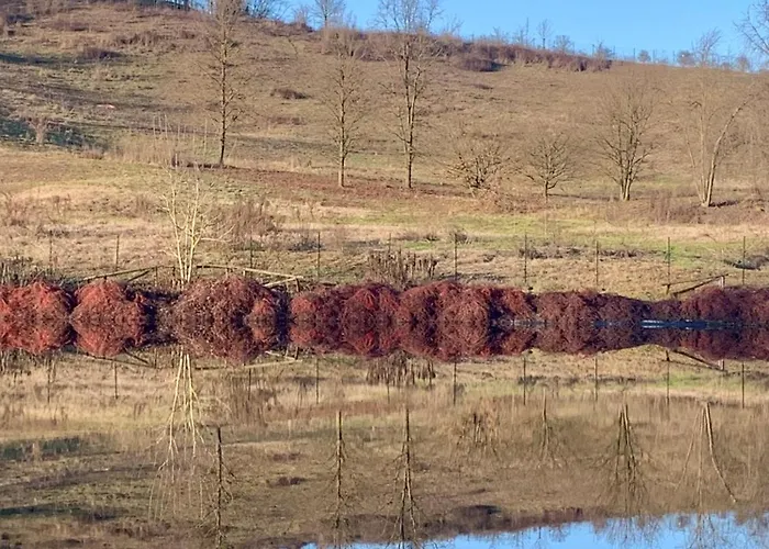 Apartamento Dimore Granaio Nr5 Wine & Countryside Experience, Welcome Box, Free Parking & Pool